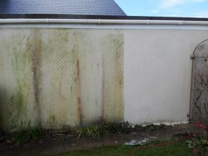 stop k rend turning green