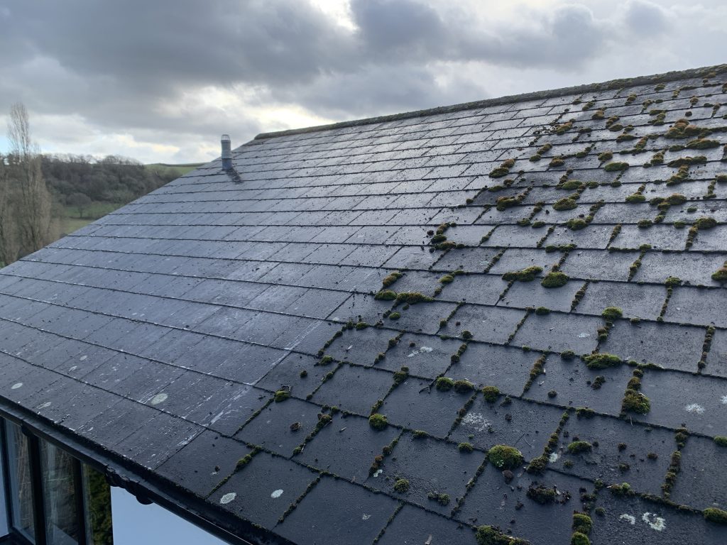 how-much-does-roof-cleaning-cost-in-2020