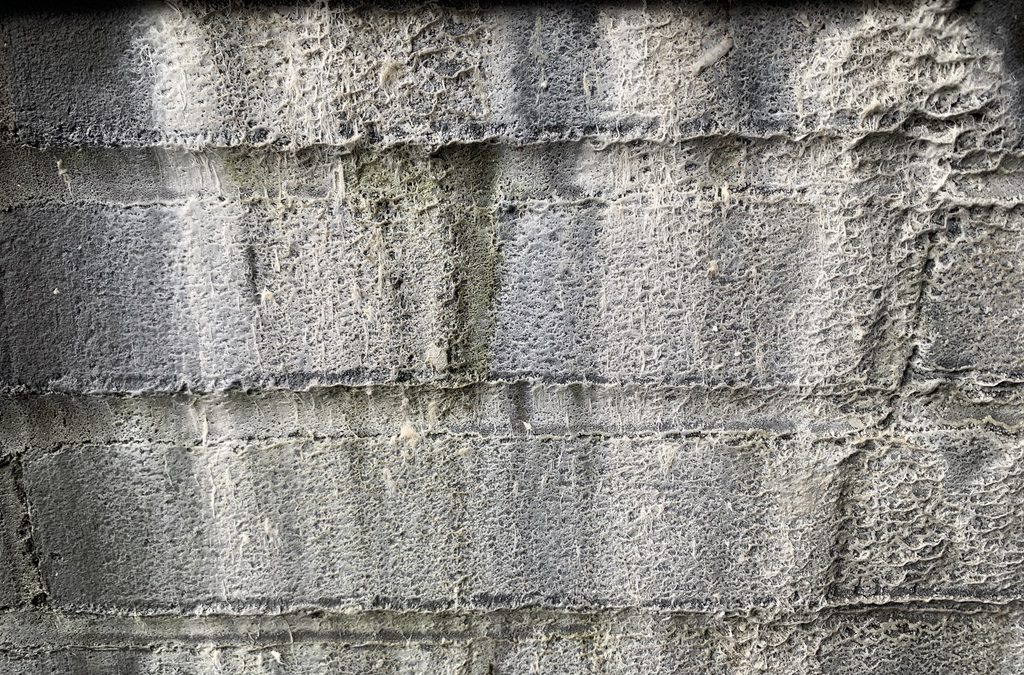 How to Remove Stains from Bricks: The Complete Guide