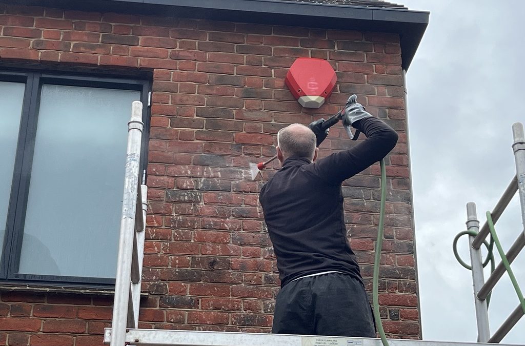 How to Remove Ivy Tendrils from Brick